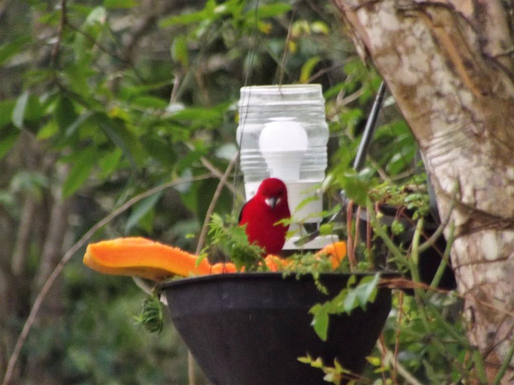 Pousada Miracolo Araquari Buitenkant foto